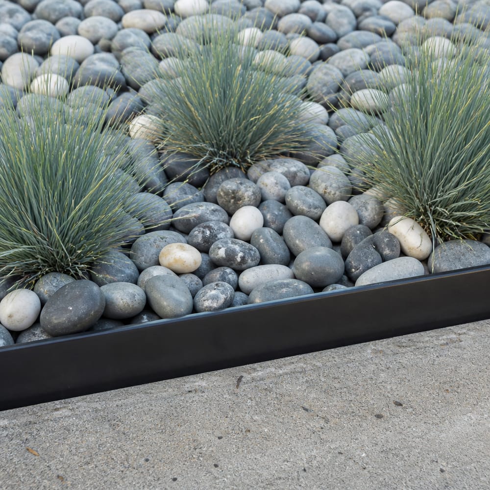 River rock bed with blue fescue clumps