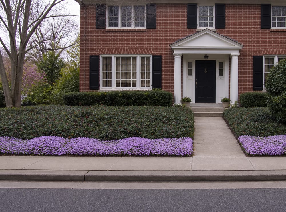 Three-layer foundation planting in front of brick colonial