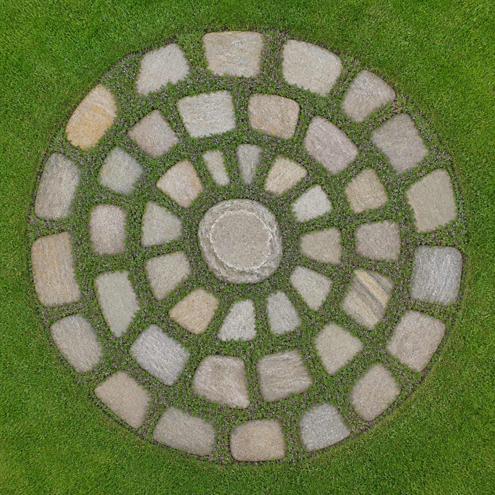 Circular stepping stones with thyme ground cover inset
