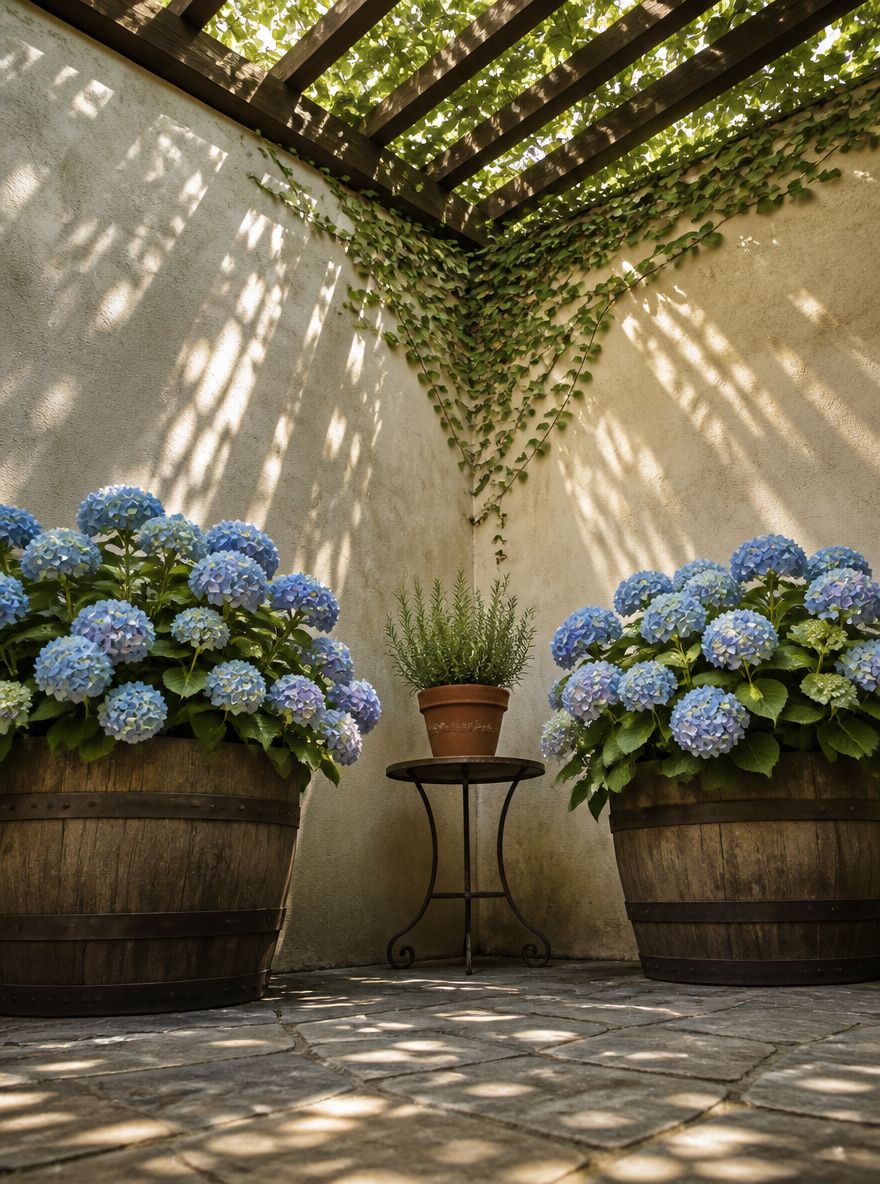 Halve wijnvaten met hortensia's in een gestucte hoek