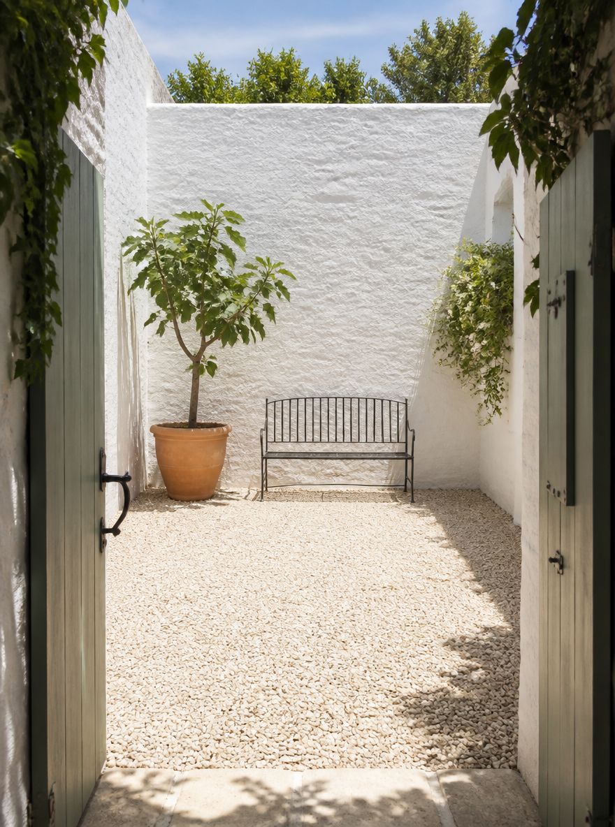 Patio in ghiaia nel cortile recintato con vaso di fico